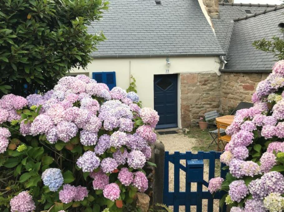 Charmante Maison De Pecheurs Trébeurden Екстериор снимка